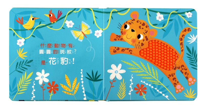 動物大驚奇：觸摸認知書